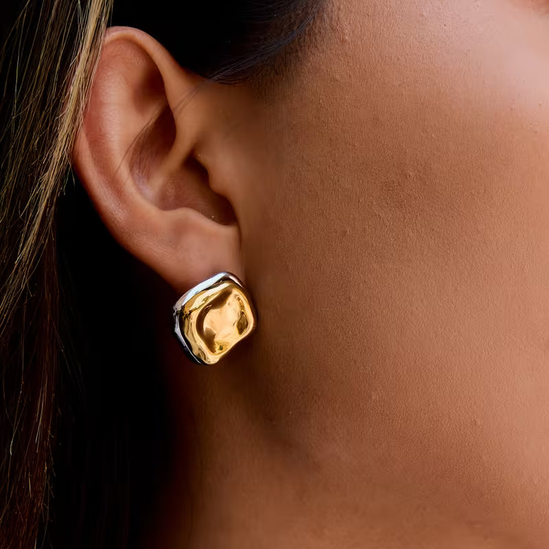 Raaya Dual-tone Earrings